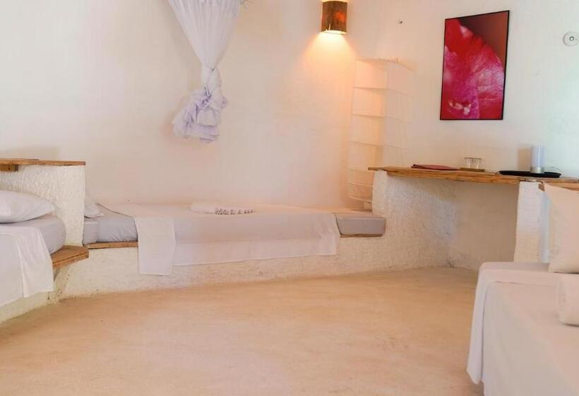 اتاق خانوادگی, The Mida Creek