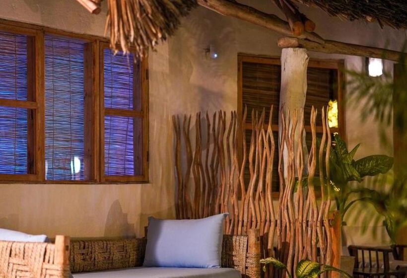 اتاق خانوادگی, The Mida Creek