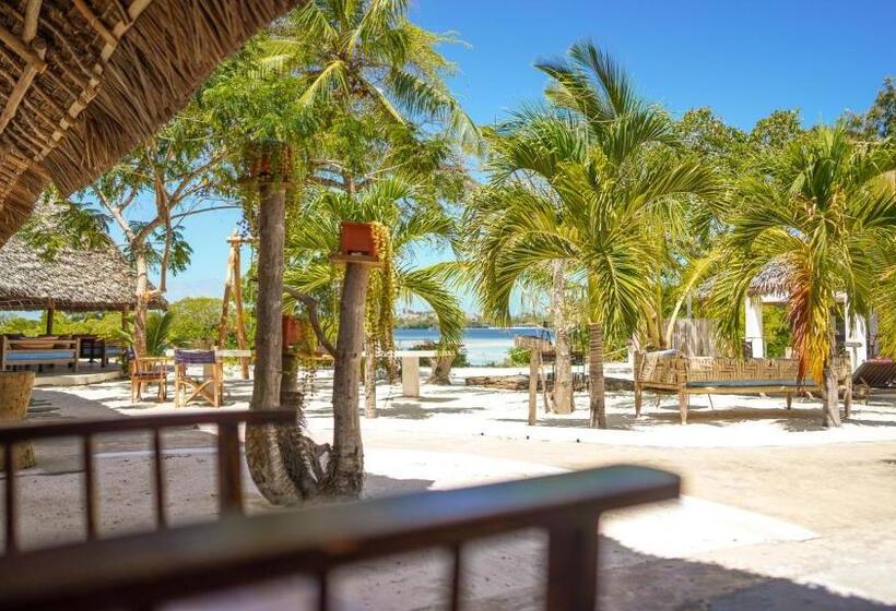 اتاق لوکس, The Mida Creek