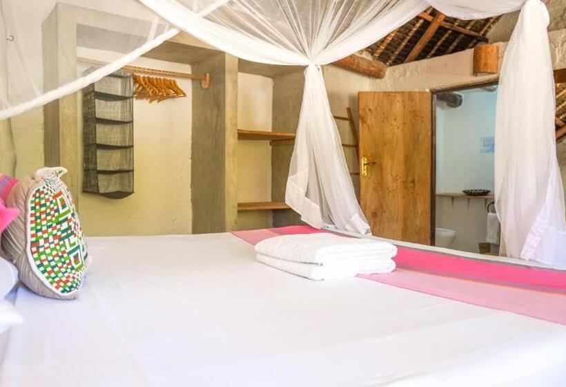 اتاق لوکس, The Mida Creek