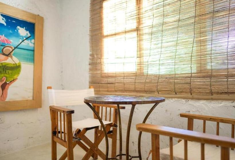 اتاق لوکس, The Mida Creek