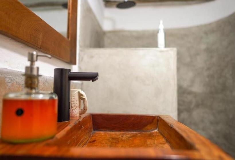 اتاق لوکس, The Mida Creek