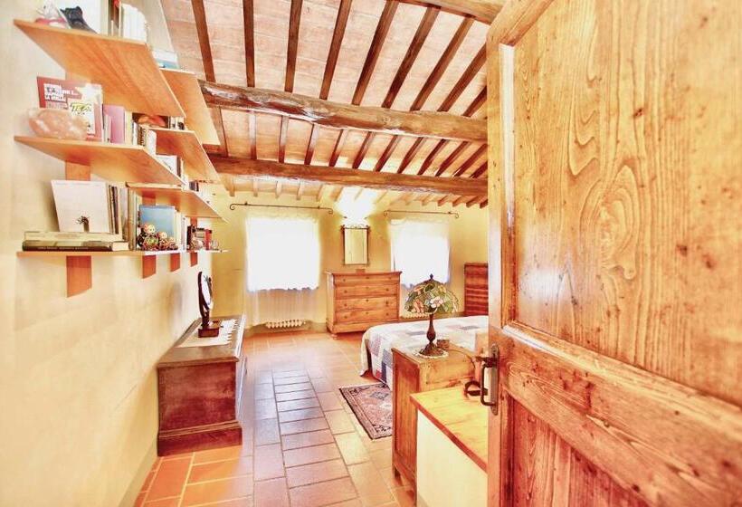 Camera Standard, Borgo Solamore