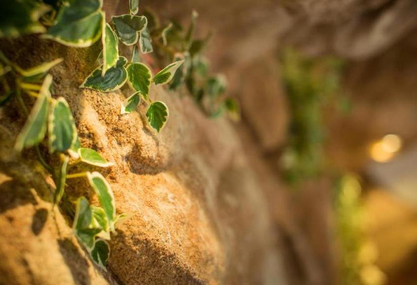 豪华房间, Olympia