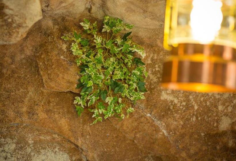 豪华房间, Olympia