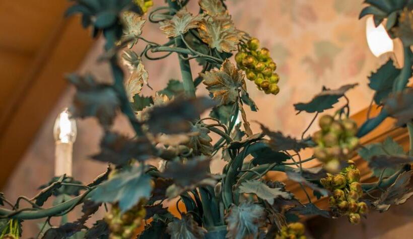 豪华家庭房间, Olympia