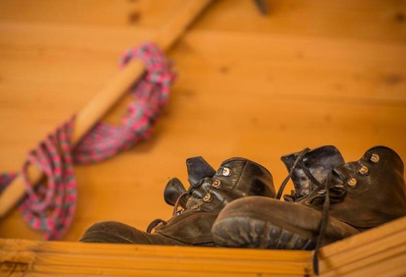 豪华房间, Olympia