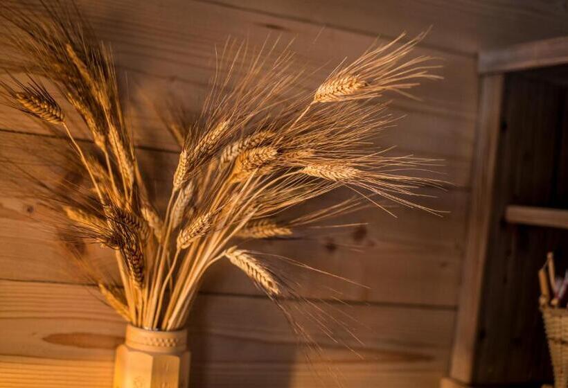 豪华房间, Olympia