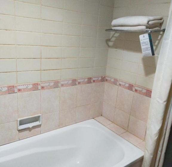 豪华房间, Sofia Juanda Surabaya