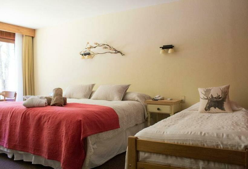 חדר סטנדרט, Y Termas Huife