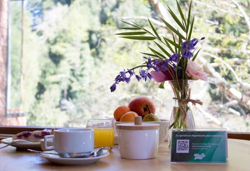 חדר סטנדרט, Y Termas Huife