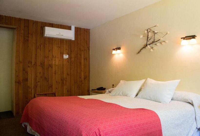 חדר סטנדרט, Y Termas Huife