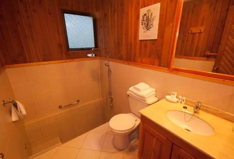 １ベッドルームアパートメント, Y Termas Huife