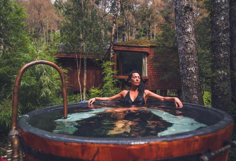 חדר סטנדרט, Y Termas Huife