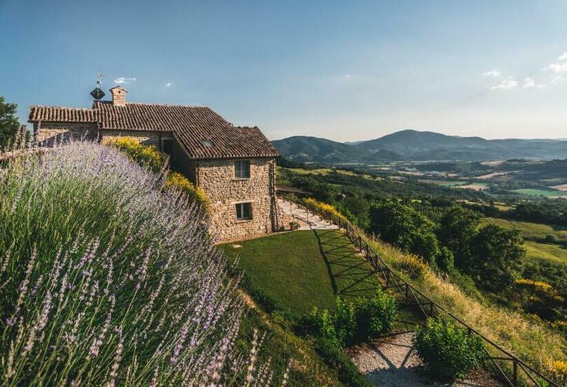 اتاق سوپریور خانوادگی, Nikis Resort