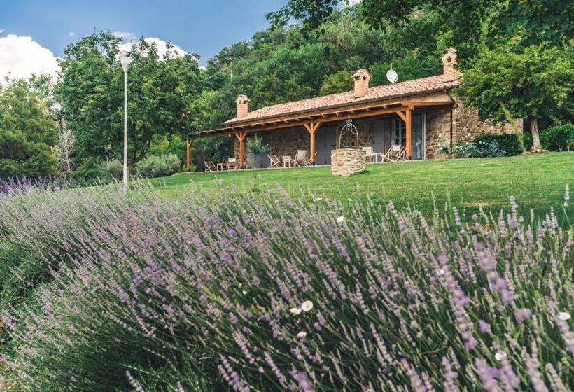 Апартаменты 1 Спальня Вид на Бассейн, Nikis Resort