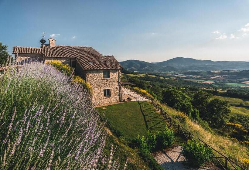 اتاق خانوادگی, Nikis Resort