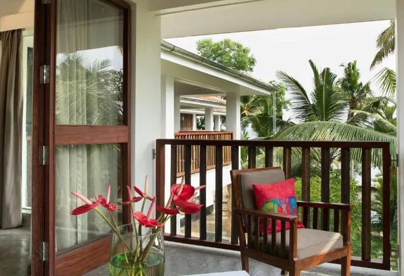 Sviitti, Purity At Lake Vembanad