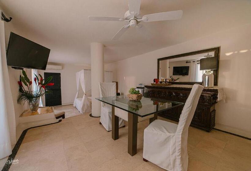 전용 풀장 스위트, Tentaciones Hotel & Lounge Pool   Adults Only
