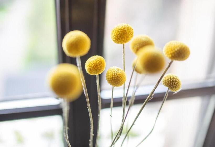 舒适型房间, Burg Reichenstein