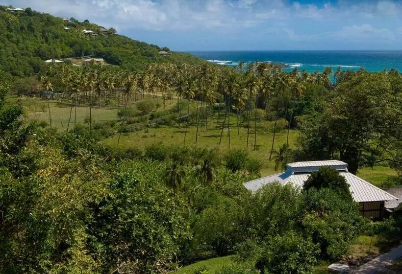 اتاق استاندارد با تخت بزرگ, Firefly Estate Bequia