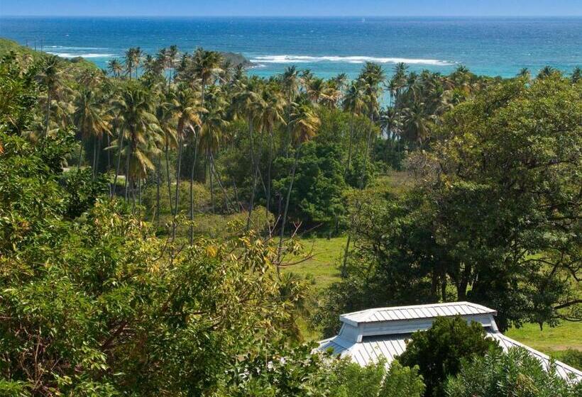 חדר סטנדרט עם מיטת קינג, Firefly Estate Bequia