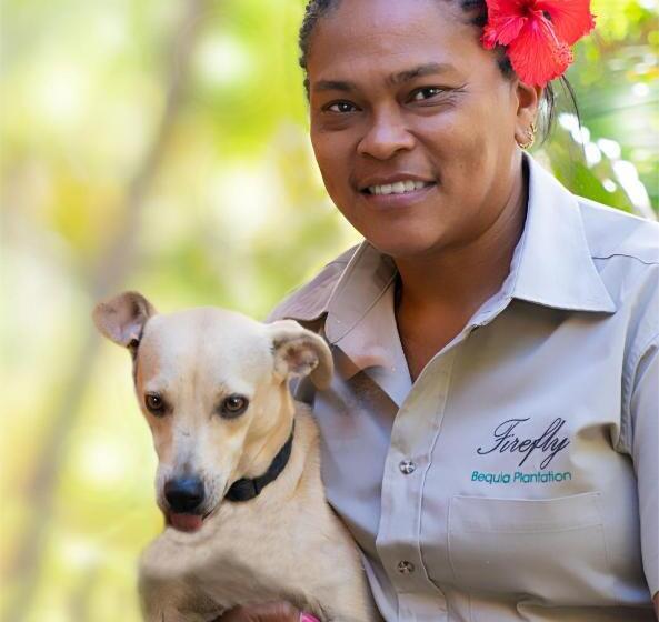 חדר סטנדרט עם מיטת קינג, Firefly Estate Bequia