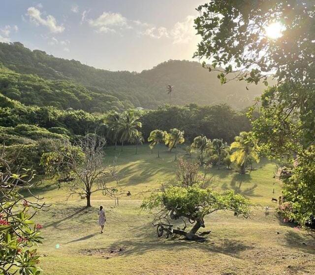 וילה בת 2 חדרי שינה, Firefly Estate Bequia
