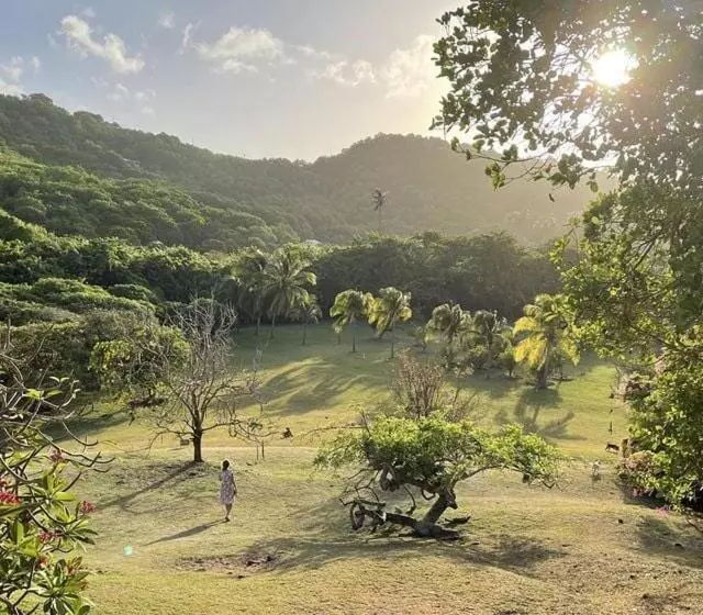 ویلای 2 خوابه, Firefly Estate Bequia