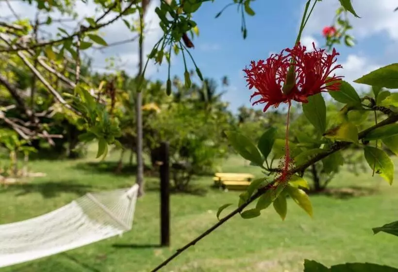 ویلای 2 خوابه, Firefly Estate Bequia