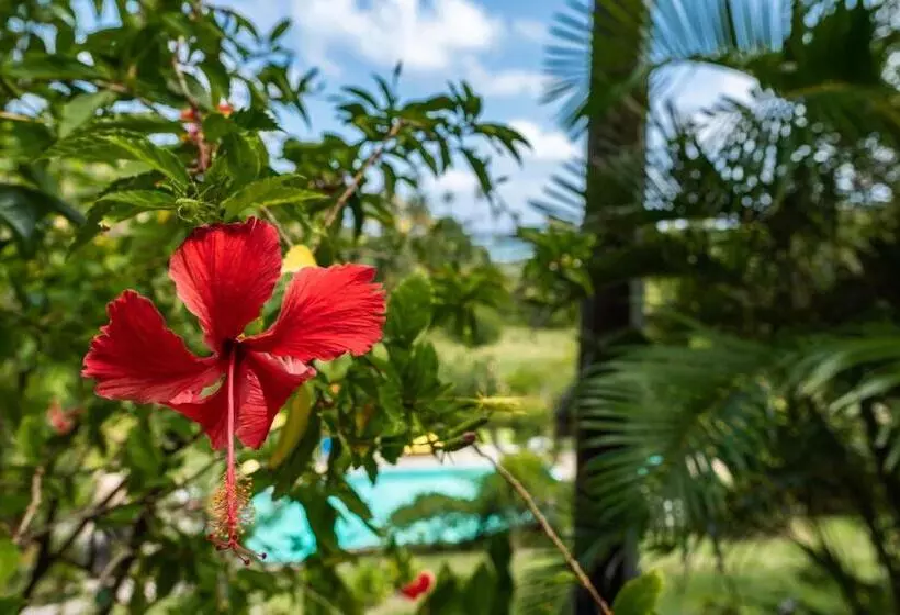 ویلای 2 خوابه, Firefly Estate Bequia
