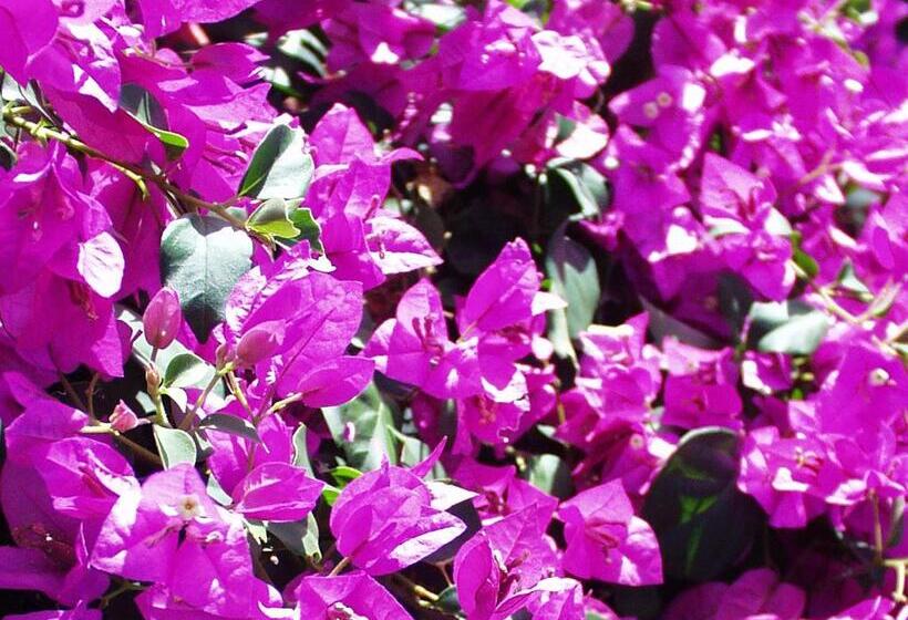 וילה בת 2 חדרי שינה, Firefly Estate Bequia