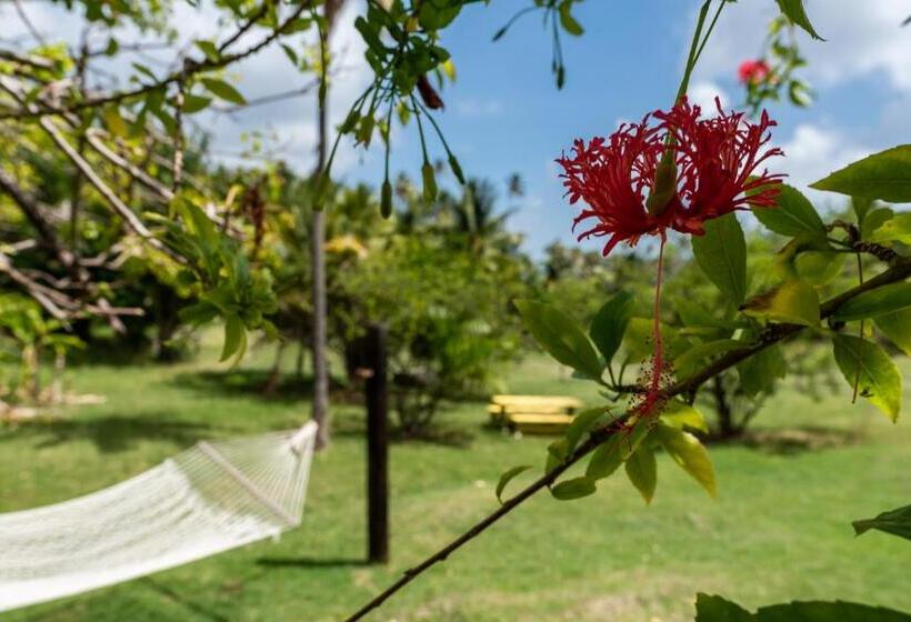 חדר סטנדרט, קומת קרקע, Firefly Estate Bequia