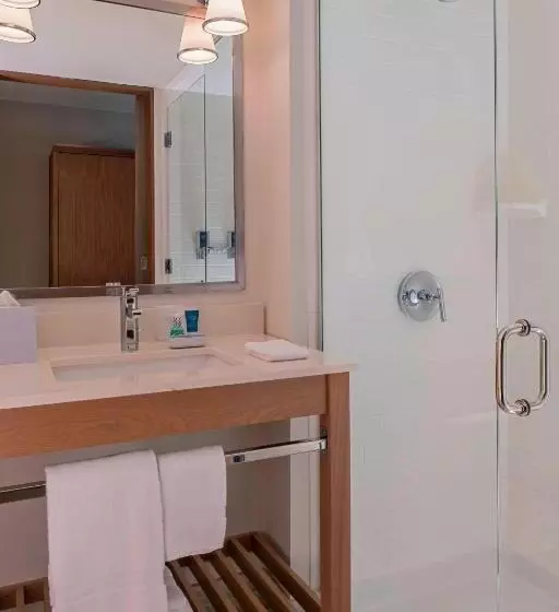 اتاق استاندارد, Four Points By Sheraton Midland