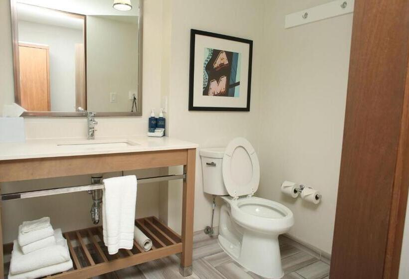 キングサイズベッドのスタンダードルーム, Four Points By Sheraton Midland