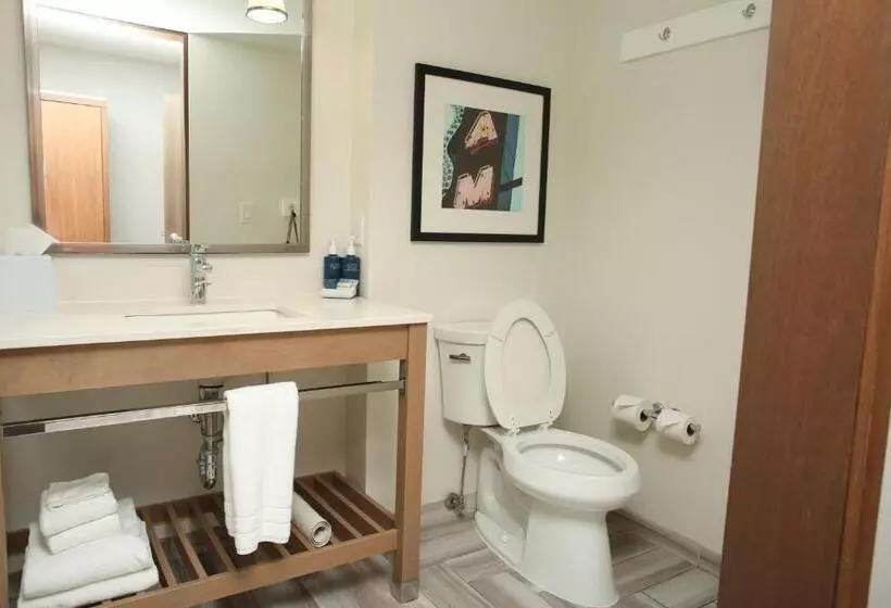 اتاق استاندارد با تخت بزرگ, Four Points By Sheraton Midland