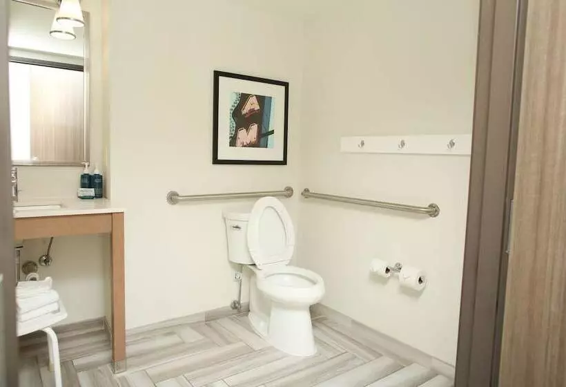اتاق استاندارد با 2 تخت دوبل, Four Points By Sheraton Midland