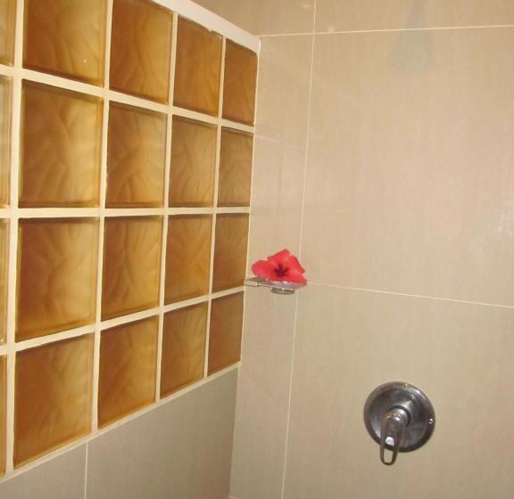 חדר דלוקס, Greenyard Inn