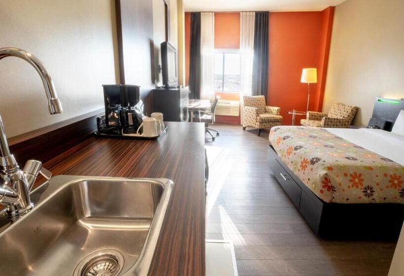 חדר סטנדרט, Must