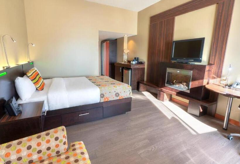 חדר סטנדרט, Must