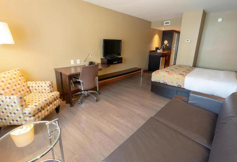 Номер Стандарт, Must