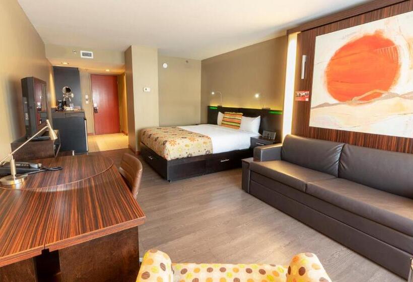 חדר סטנדרט, Must