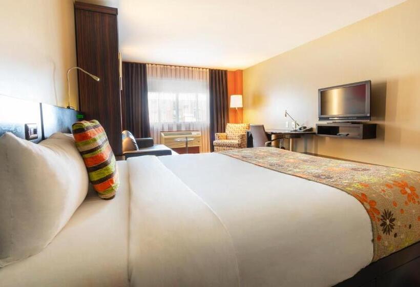 חדר סטנדרט, Must