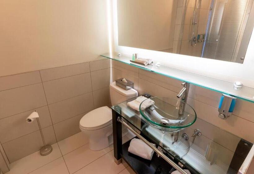 חדר סטנדרט, Must