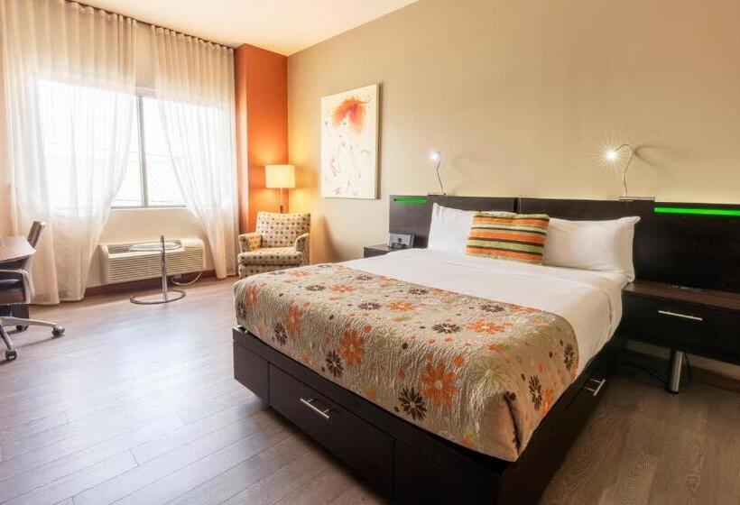 Номер Стандарт, Must