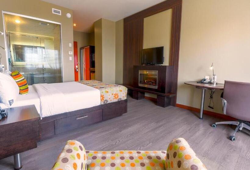 Номер Стандарт, Must