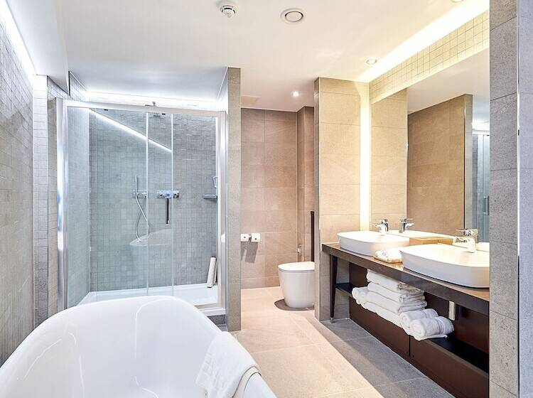 总统套房, Park Regis Birmingham