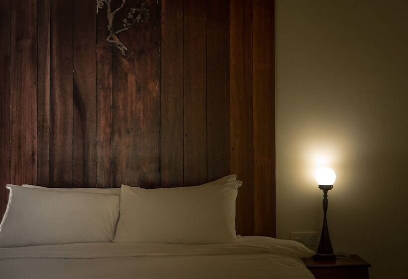 スタンダードルーム, Ren I Tang