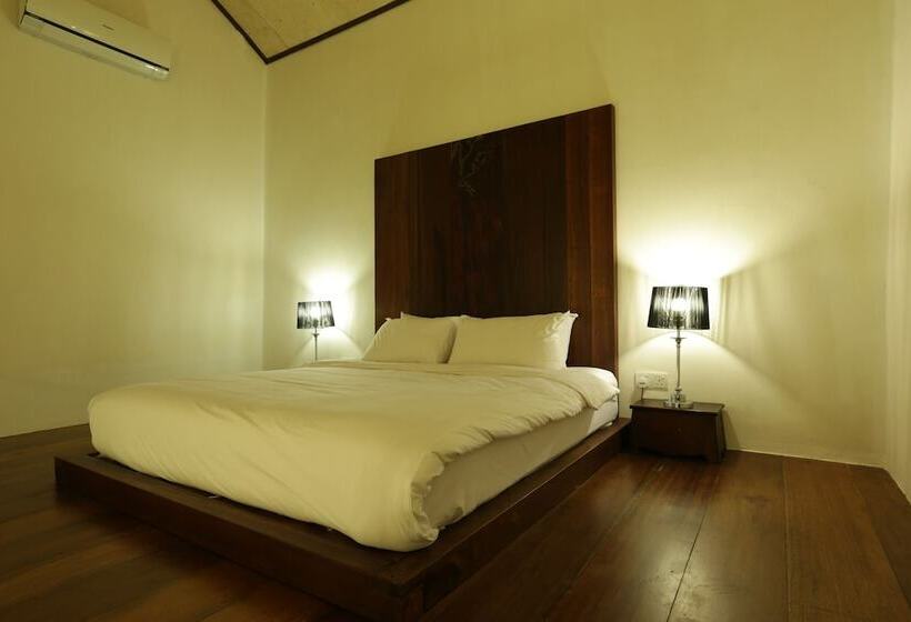 スタンダードルーム, Ren I Tang