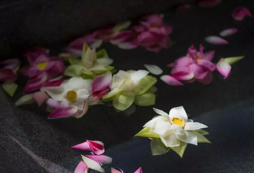 スイート, Sokkhak Boutique Resort & Spa